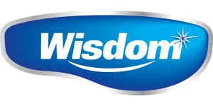 Ремонт зубной щетки WISDOM
